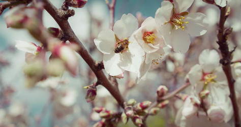 Similar image 21553523