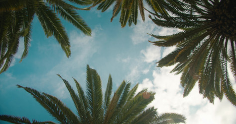 Similar image 21553525