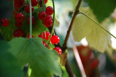 Similar image 21554170