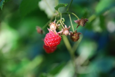 Similar image 21554171