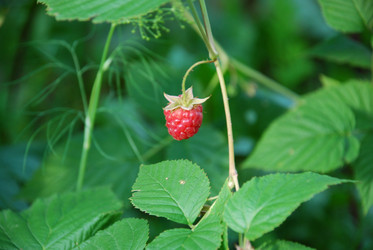 Similar image 21554172