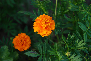 Similar image 21554173