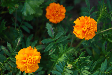 Similar image 21554174