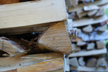 Similar image 21554175