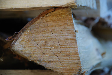 Similar image 21554176