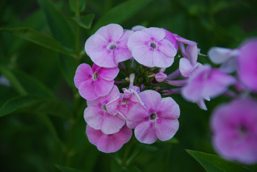 Similar image 21554180