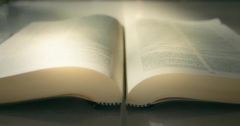 Similar image 21562646