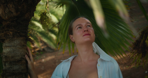 Similar image 21562665