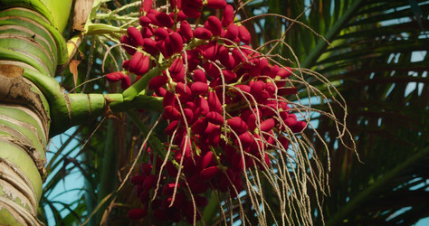 Similar image 21562672