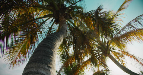 Similar image 21562674