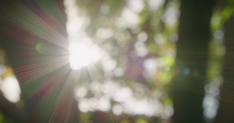 Similar image 21562675