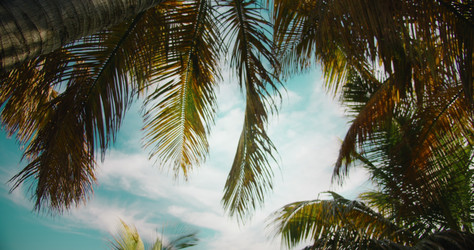 Similar image 21562678