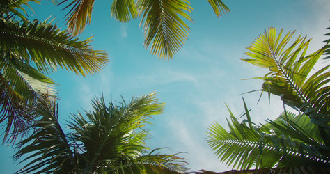 Similar image 21553532