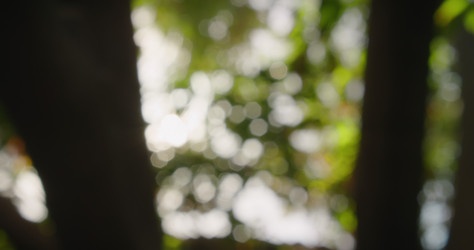 Similar image 21562681