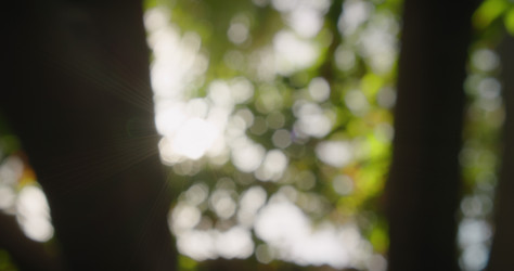 Similar image 21562682