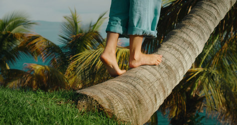 Similar image 21562684