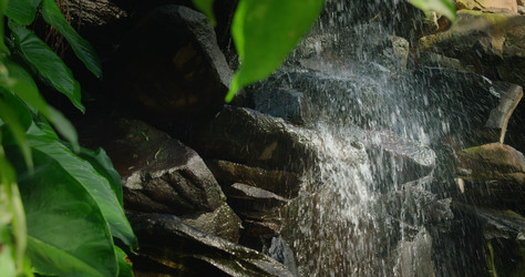 Similar image 21562685