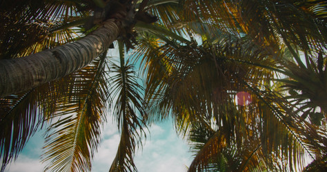 Similar image 21562688