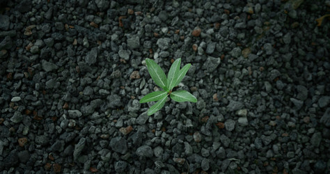 Similar image 21562691