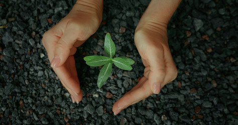 Similar image 21562692