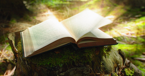 Similar image 21562695