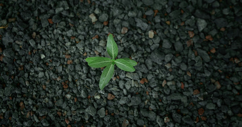 Similar image 21562696