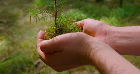 Similar image 21562701