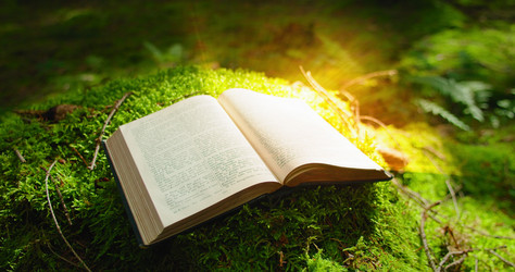 Similar image 21562702