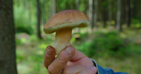 Similar image 21562703