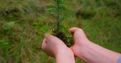 Similar image 21562704