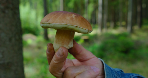 Similar image 21553538