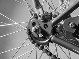 Similar image 21554596