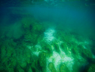 Similar image 21554599