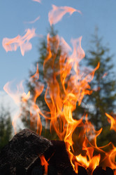 Similar image 21554018