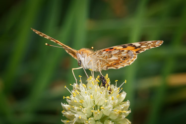 Similar image 21554020