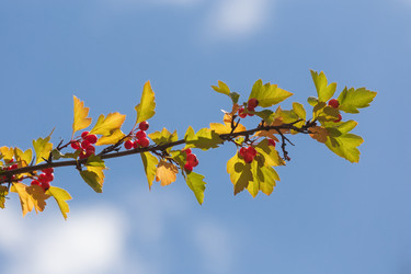 Similar image 21554022