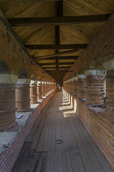 Similar image 21553964