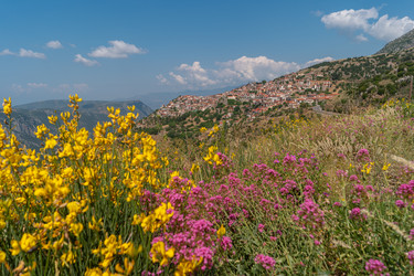 Similar image 21554068