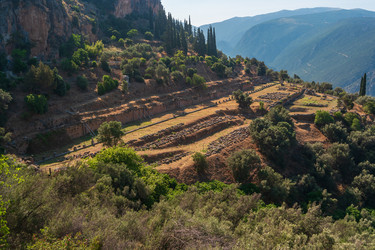 Similar image 21554069