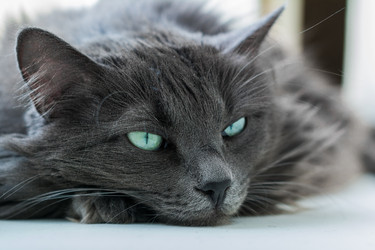 Similar image 21554073