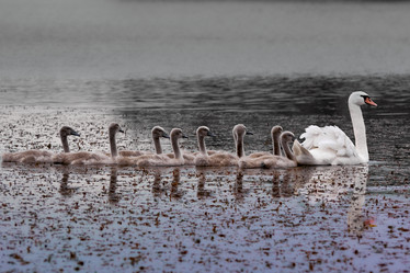 Similar image 21554077