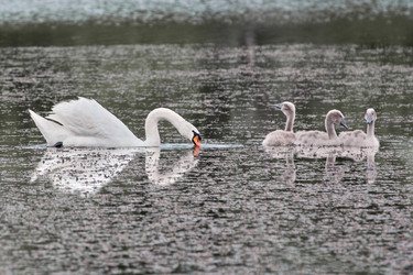 Similar image 21554079