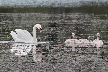 Similar image 21554080