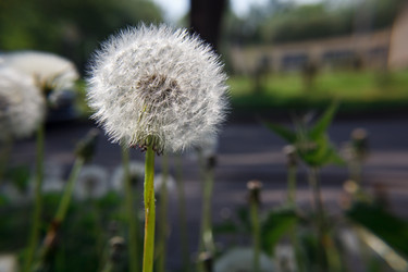 Similar image 21553935