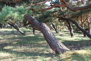 Similar image 21553941