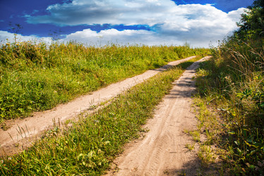 Similar image 21553909