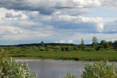 Similar image 21554209