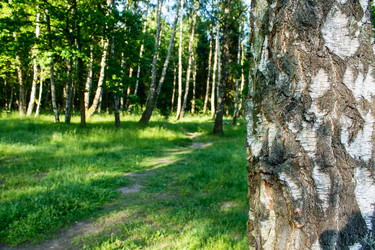 Similar image 21553912