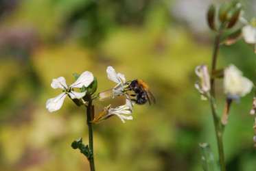 Similar image 21554216