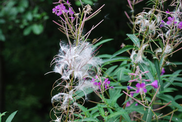 Similar image 21554218